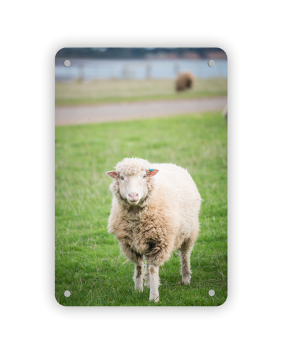 Acrylic Print 200 x 300mm