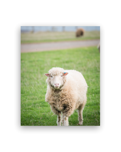 Canvas Print 16"x20"x 38mm deep