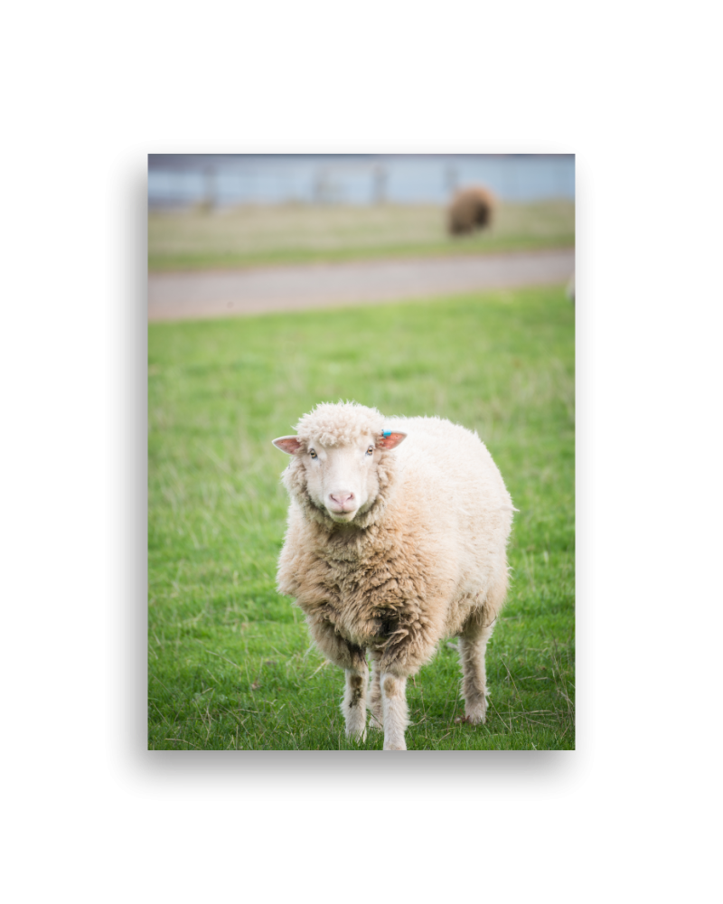Canvas Print 10"x14"x 38mm deep